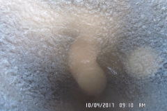 SAM_0527