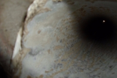 SAM_0578